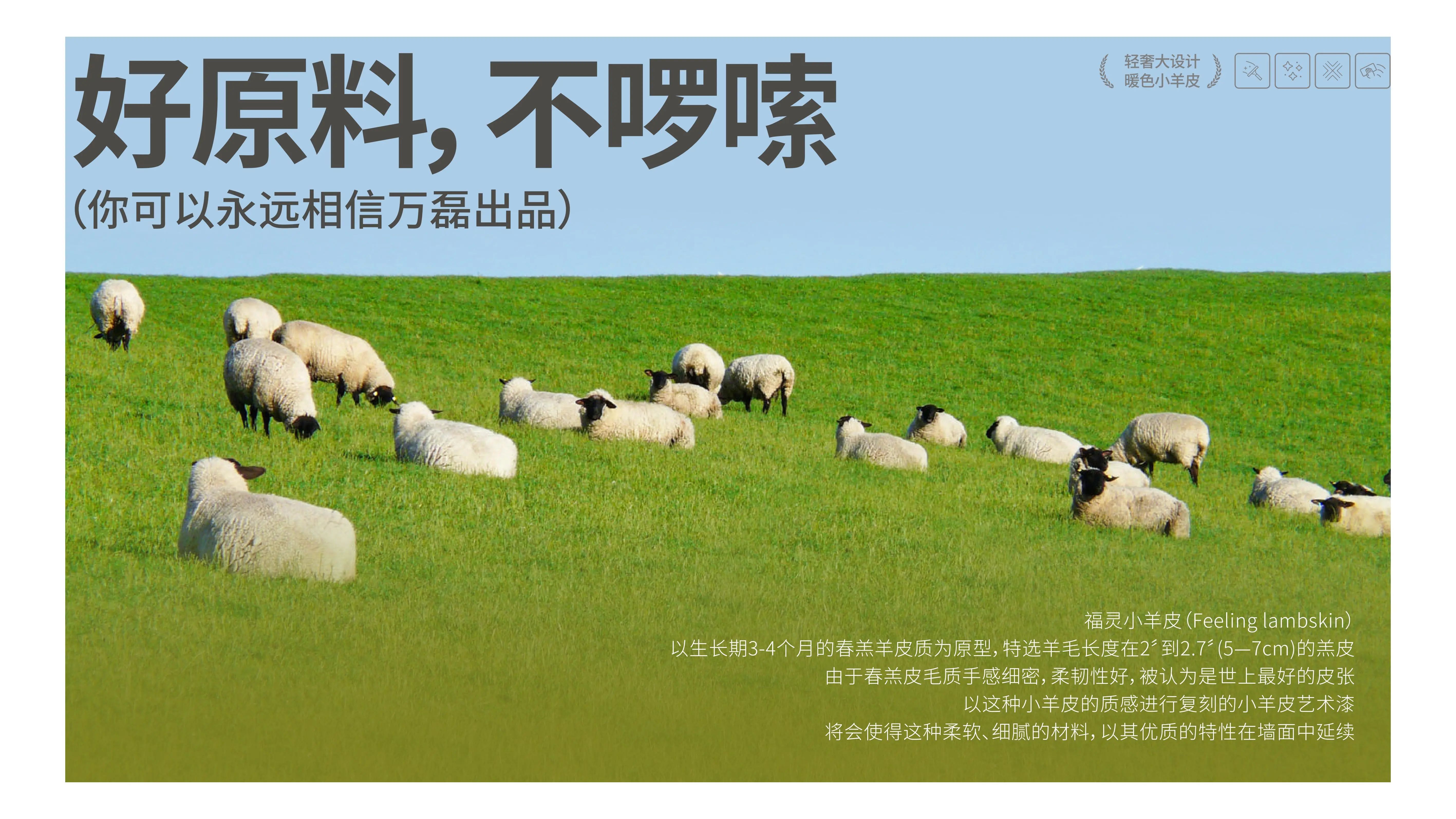 萬(wàn)磊福靈小羊皮來(lái)啦！多樣的表面質(zhì)感等您來(lái)解鎖~