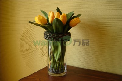 有了硅藻泥，新房入住不再等！