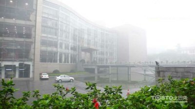 驚蟄過，春雨至，硅藻泥讓你告別濕轆轆